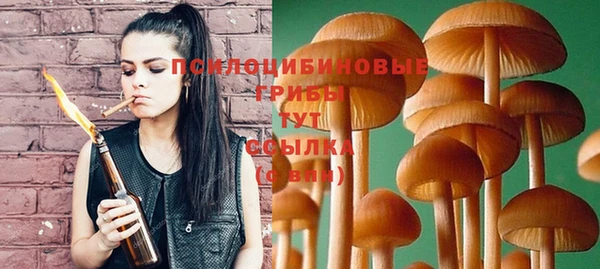 гашик Нея