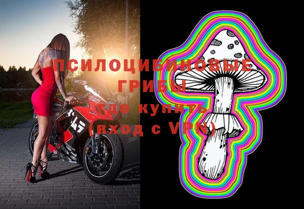 гашик Нея