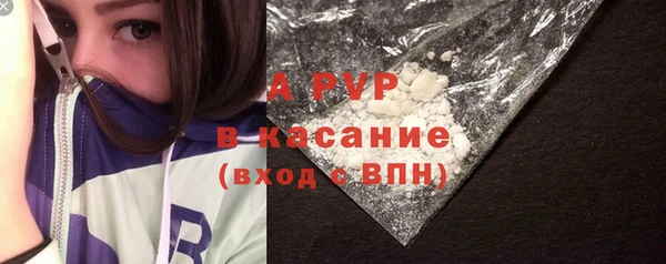 гашик Нея