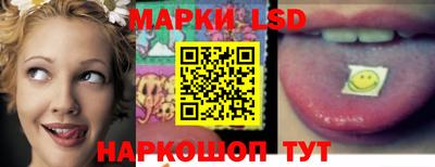 мдпв Донской