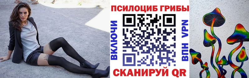 Галлюциногенные грибы Psilocybe  Шарыпово 