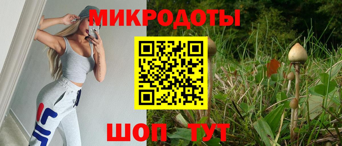 Псилоцибиновые грибы ЛСД  Вход с VPN  Псилоцибиновые грибы мицелий  Шарыпово 